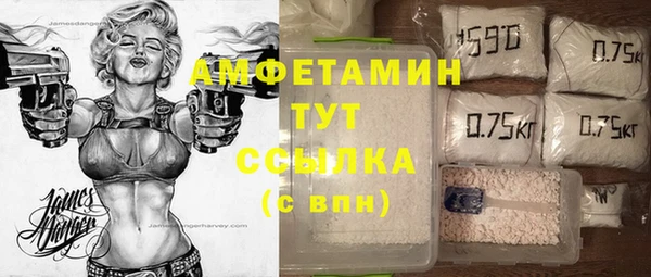 ПСИЛОЦИБИНОВЫЕ ГРИБЫ Арсеньев