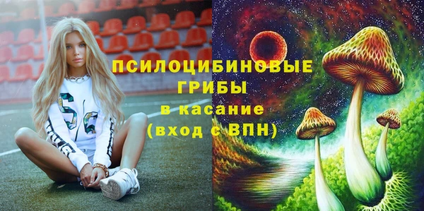 ПСИЛОЦИБИНОВЫЕ ГРИБЫ Арсеньев