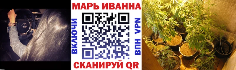 Шишки марихуана марихуана  ссылка на мегу tor  Пролетарск 